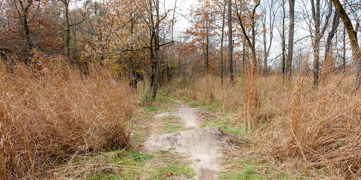 Oak Openings Preserve Metropark