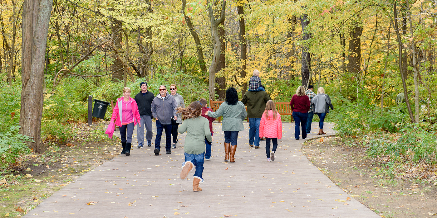 nature-walks-1400x700-ajpg