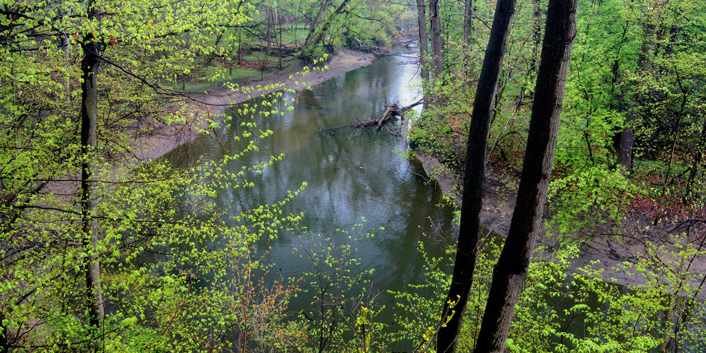 Swan Creek 1400x700 2.jpg